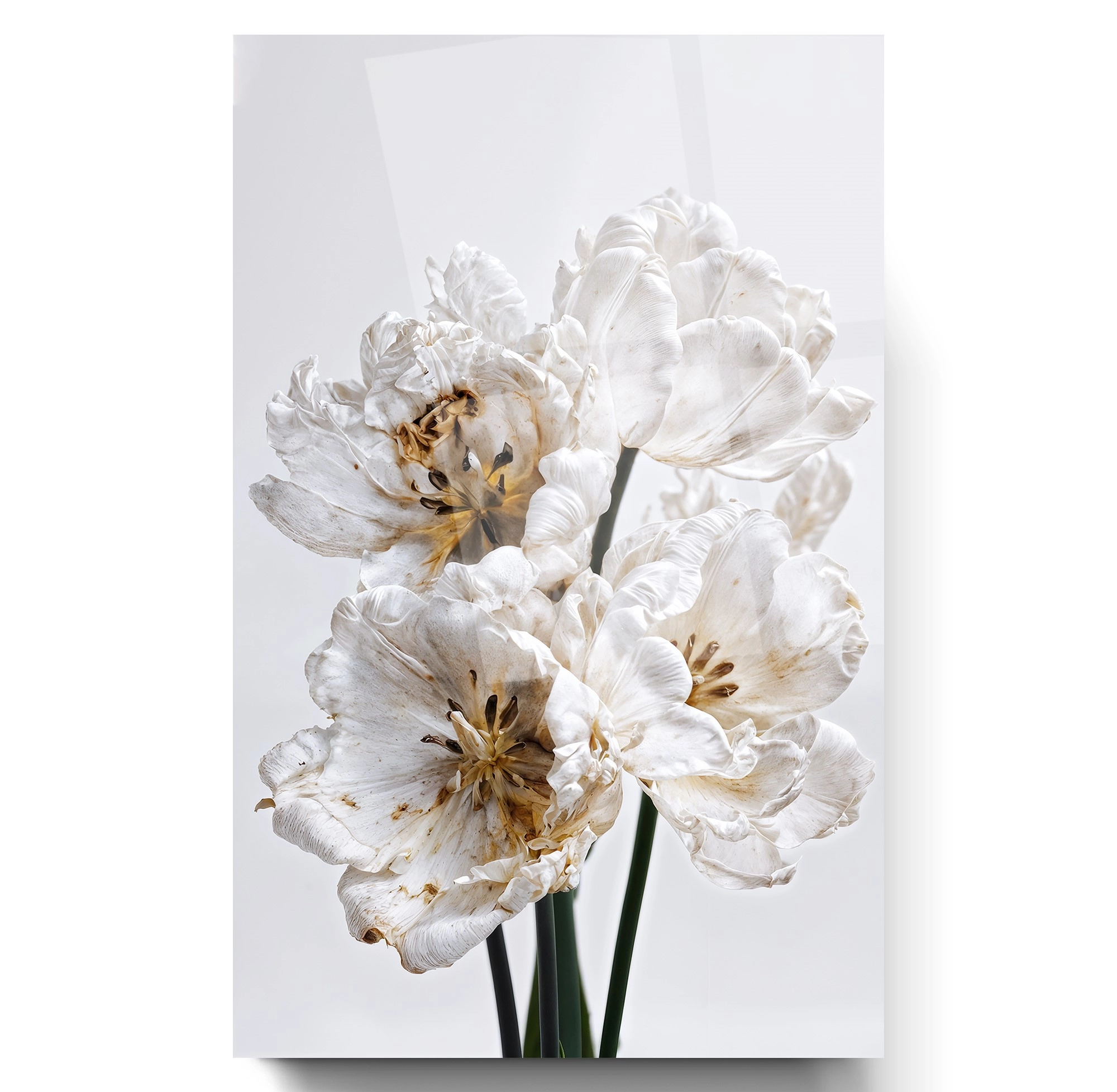 Beyaz%20Çiçek%20Cam%20Tablo