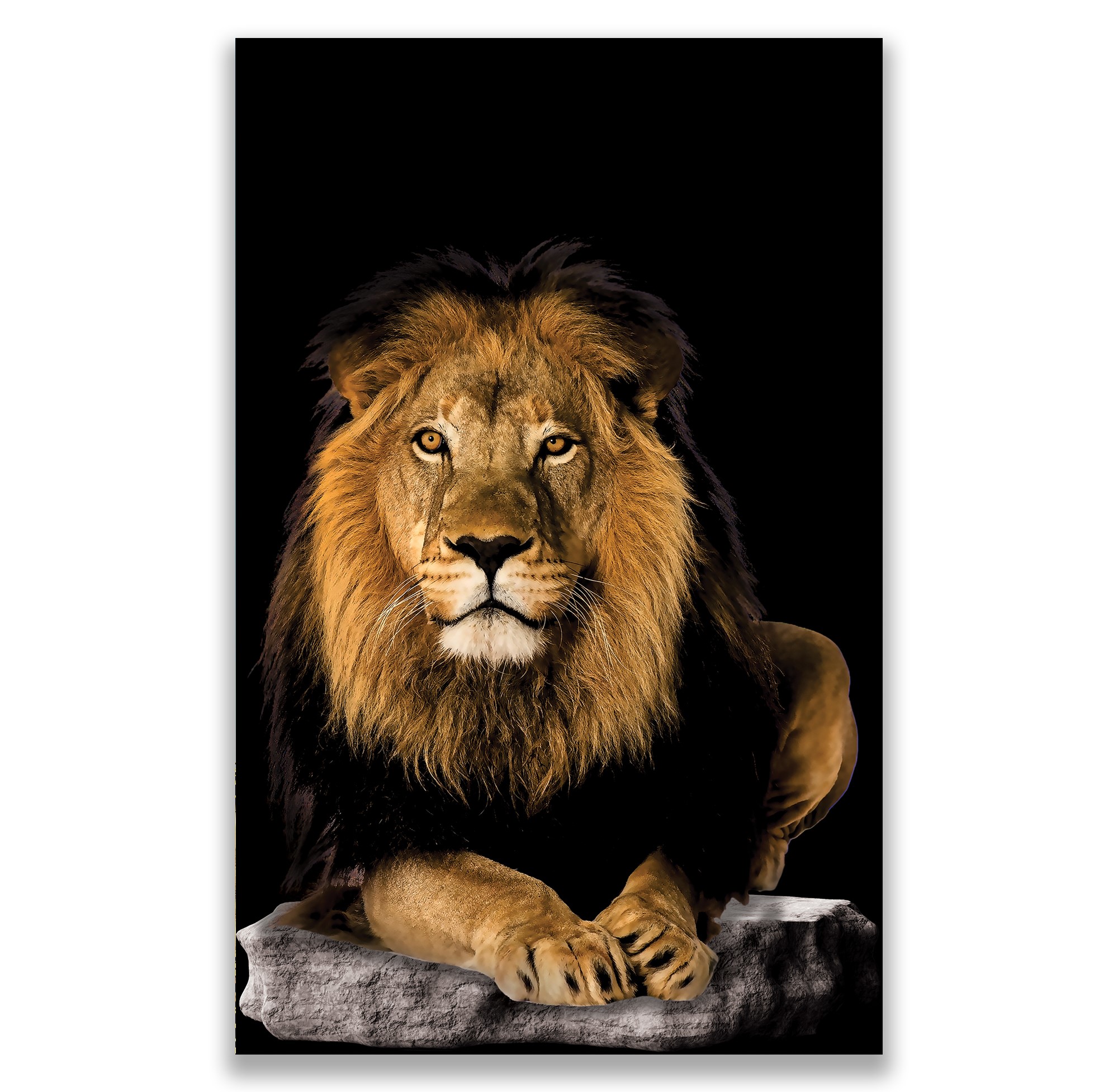 Aslan%20Kanvas%20Tablo