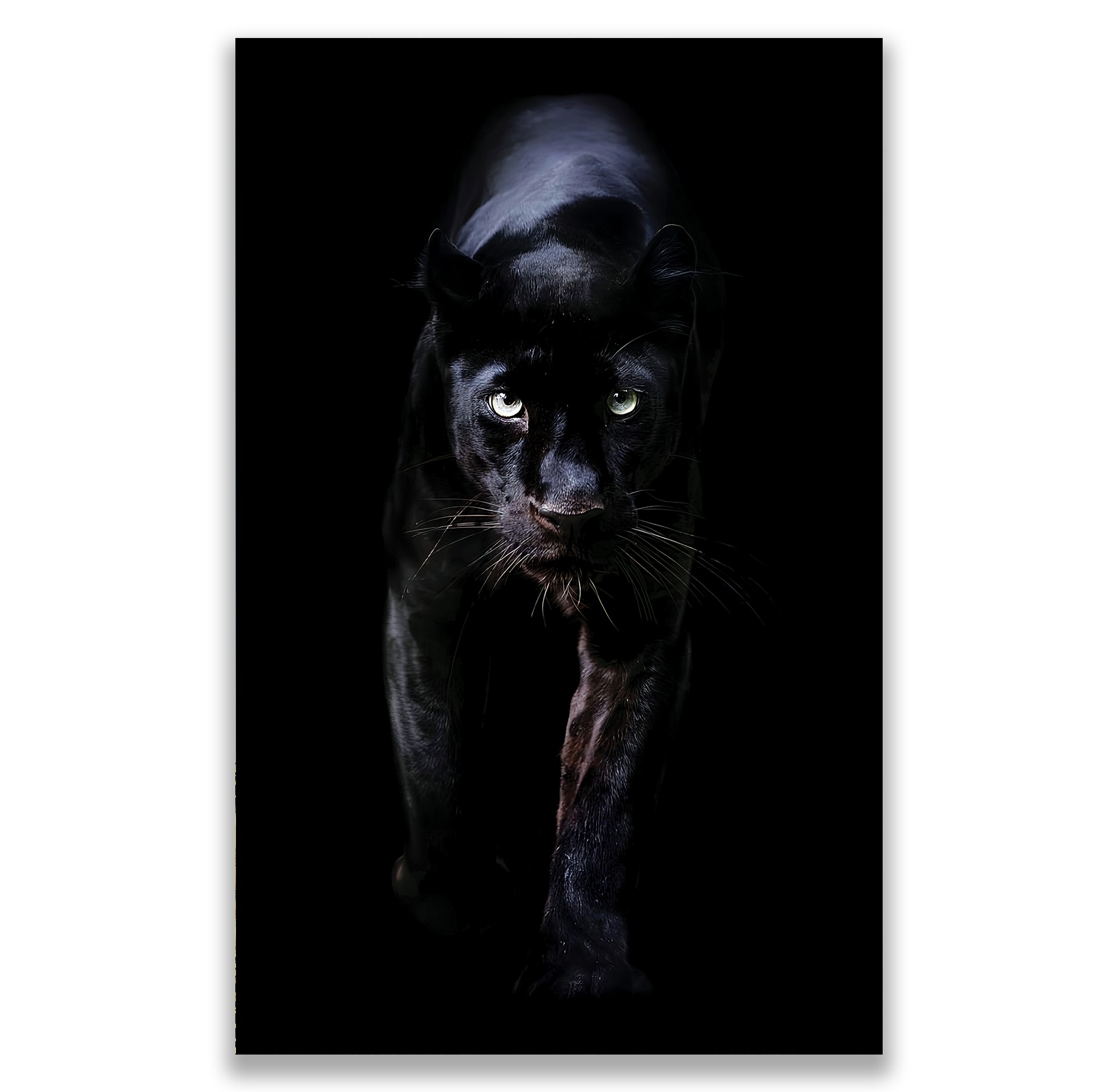 Panter%20Kanvas%20Tablo