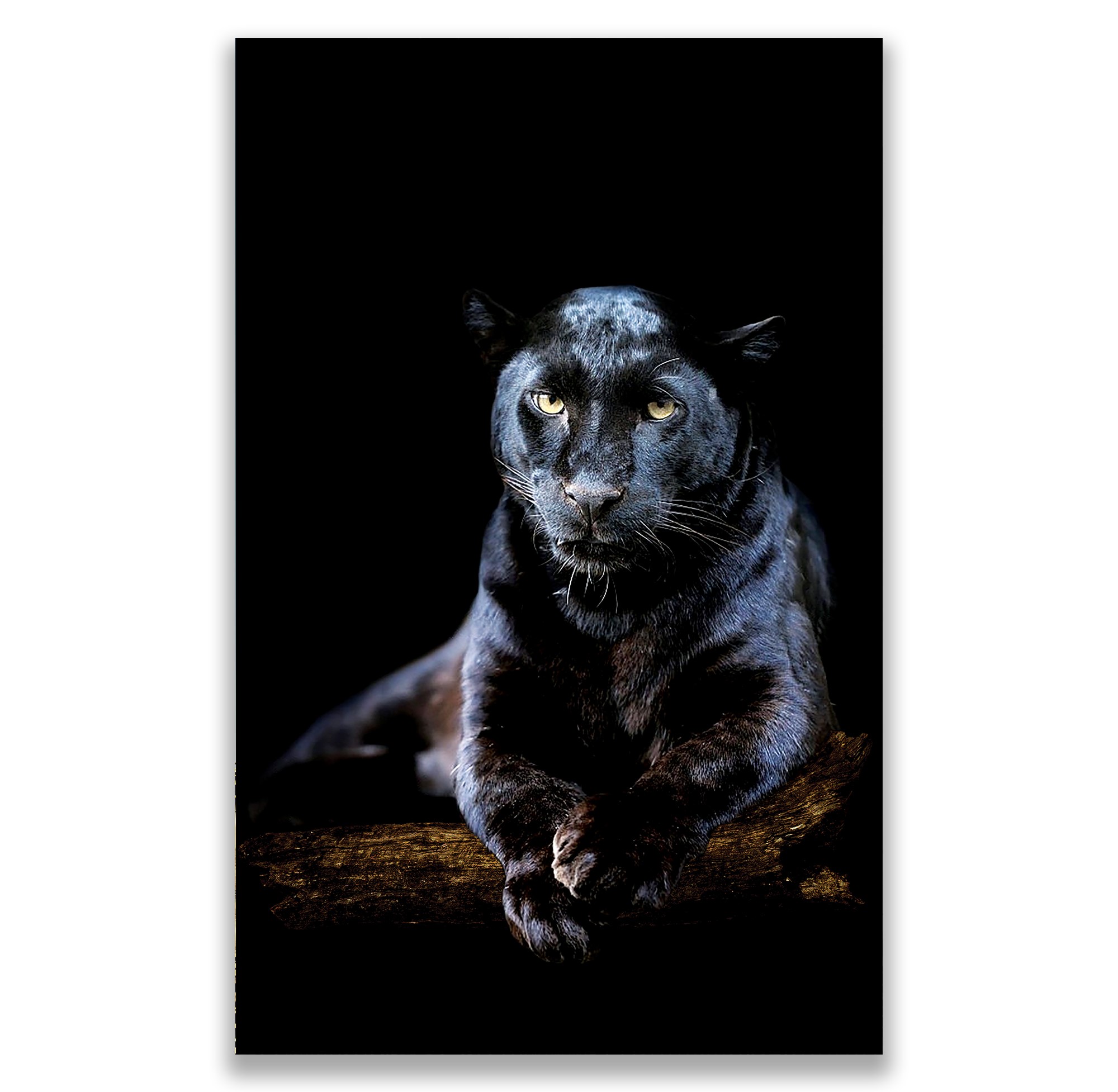 Panter%20Kanvas%20Tablo