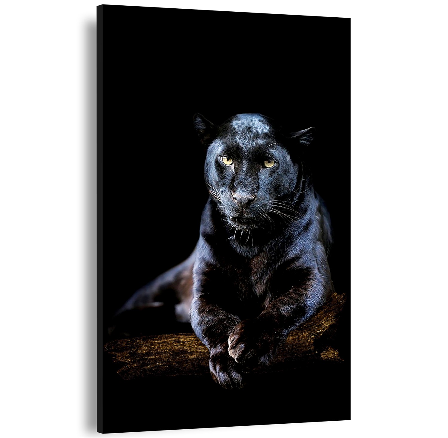 Panter%20Kanvas%20Tablo