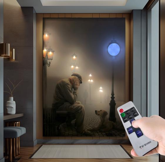 Led Işıklı Uzaktan Kumanda Yalnızlık Kanvas Tablo